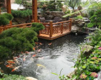 庭院假山鱼池布局的作用及鱼池换水方法